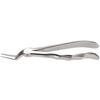 Extraction Forceps – # 97, English Pattern, Serrated Beaks, Handform Handle - Extracting Forceps – # 97, English Pattern, Serrated Beaks, Handform Handle