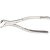 Extraire pince – nº 6, la séparation/agent de séparation, 6-1/2" - Extracting Forceps – # 6, Splitting/Separating, 6-1/2"