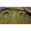 Dr. Christensen's Predictable Fixed and Removable Prosthodontic Impressions DVD