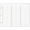 Regular Unprinted Days Looseleaf Appointment Sheets, 11" W x 8-1/2" H, 100/Pkg