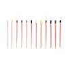 Gutta Percha Points – AAE, Color-Coded