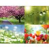 Seasonal Scenes 4-Up Laser Postcard Assortment Packs, 100/Pkg