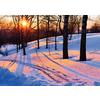 Winter 4-Up Laser Postcard, 100/Pkg