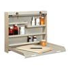 Datum DrugStor™ With 2 Key Locks, 20" W x 16-3/8" H x 3-3/8" D