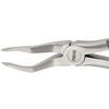 Davier Atraumair – Davier à racine 51, strié, racines supérieures - Atraumair Forceps – 51 Root Forceps, Serrated, Upper Roots