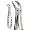 X-Trac Forceps – Lower Molar, Cowhorn 