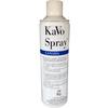 KaVo Spray® 2114 Canada – Vaporisateur de 500 mL, 1/emballage