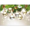 Designer’s Choice Holiday Personalized Postcard, 100/Pkg