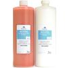 Accusil Duplicating Material Set – 1 kg Bottles, 1/Pkg