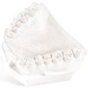 Lab Plaster