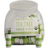 Baume à lèvres biologique en bocal – Arbre à thé menthe, 100/emballage
