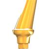 AnyRidge® Angled Abutments – HEX, 1/Pkg