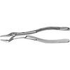 Davier, 32 Parmly alvéolaire - Extraction Forceps, 32 Parmly Alveolar