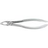 Extraction Forceps – # 35AX, Deep Gripping, English Pattern, Upper Universal, Tapered and Serrated Beaks 
