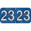 2023 Yearly Aging Labels