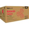 BeeSure Naturals Earloop Face Masks – ASTM Level 3, 50/Pkg - Canyon Red