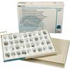 Unitek™ Permanent Stainless Steel Crowns Bicuspid Starter Kit