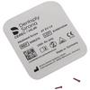 CEREC inLab Abutment Screw, 2/Pkg - AT EV 3.6