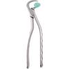 Physics® Standard Series Forceps - GMX-100UA, Upper Anterior