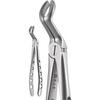 X-Trac Forceps – Upper Molar, Universal 