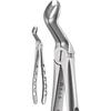 X-Trac Forceps – Upper Third Right Molar, 3 Prong 