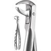 X-Trac Forceps – Lower Molar, Ashe Pattern 