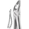 X-Trac Forceps – Upper Universal, Beveled Beak 