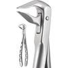 X-Trac Forceps – Lower Anterior, Beveled Beak 