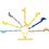 2138519_group